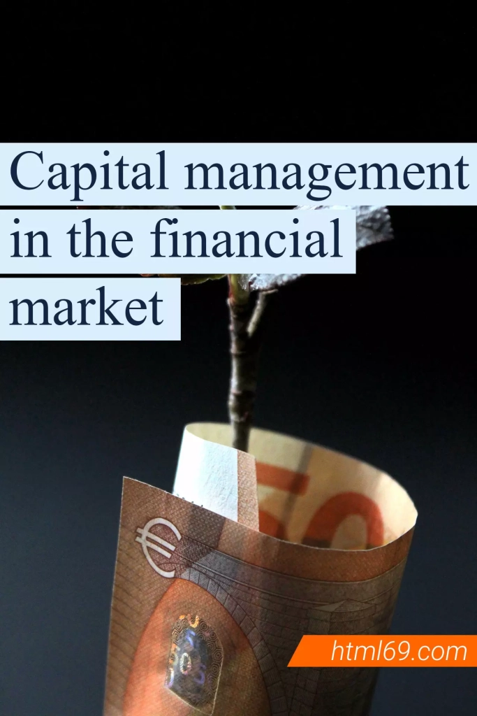 Capital-management-in-the-financial-market