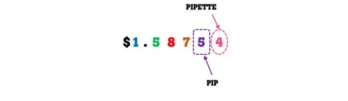 Pip and Pipette in Forex
